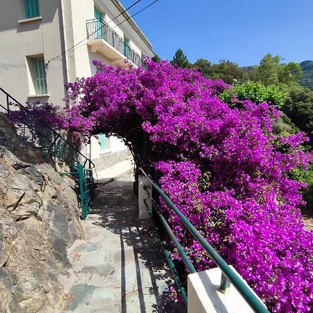 La Vallicella Farinole