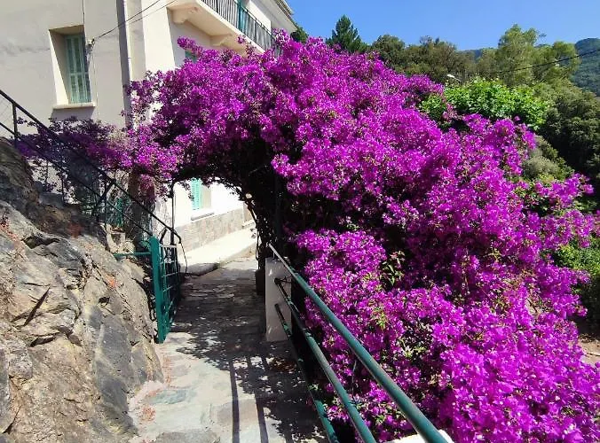 La Vallicella Farinole